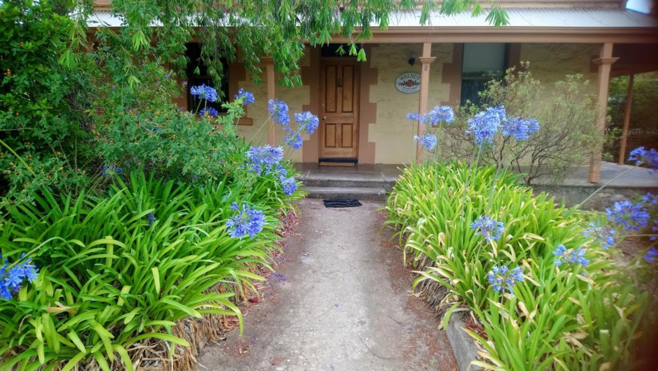 Walnut Cottage Angaston Exterior photo