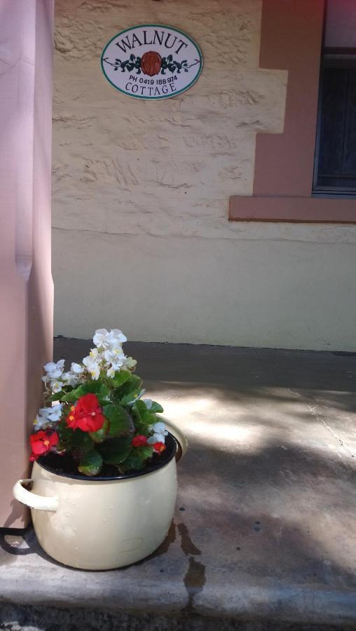 Walnut Cottage Angaston Exterior photo