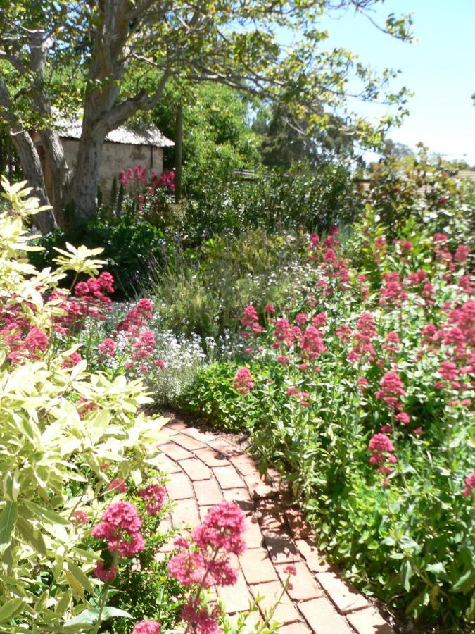 Walnut Cottage Angaston Room photo